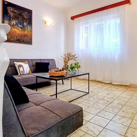 Pet Friendly In With Kitchen