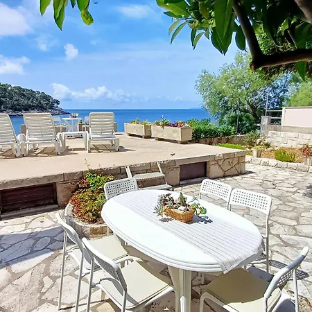 Pet Friendly In With Kitchen